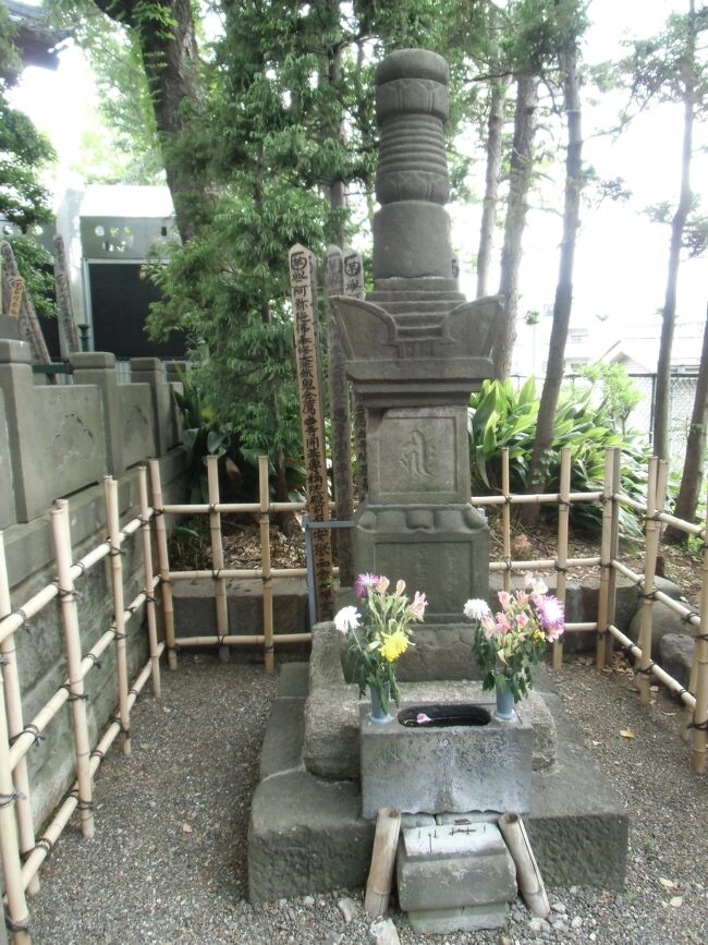 専称山・安養院・西念寺（さいねんじ、東京都新宿区若葉））は文禄２年（１５９３）徳川家康の重臣で伊賀同心を支配する服部半蔵正成（はっとり・はんぞう・まさなり、１５４２～１５９７）が開基の浄土宗の寺院です。<br /><br />正成は天文１１年（１５４２）既に徳川氏（当時は松平氏）に仕えていた伊賀忍者服部保長（はっとり・やすなが、生没不詳）の四男として三河に生まれます。<br /><br />半蔵正成はやがて父の跡目として服部家の家督を継ぎ徳川家康に仕え、元亀元年（１５７０）の姉川の戦い、元亀６年（１５７９）の三方ケ原の戦いなどで武功を立てています。<br /><br />天正７年（１５７９）には家康嫡男信康（のぶやす、１５５９～１５７９）が同盟織田信長から武田氏と通じていると疑いを掛けられ、遠江国二俣城にて自害に追いやられた際、検使役として赴き介錯を命ぜられた時「三代相恩の主に刃は向けられない」と言って介錯することができず、これを聞いた家康は「鬼と言われた半蔵でも主君に手をかけることができなかった」として一層高い評価を受けます。<br /><br />天正１０年（１５８２）武田氏滅亡により駿河国拝領の御礼として織田信長滞在の京都を訪問、信長より接待を受けたのち堺視察の折り、信長が明智光秀の反逆により憤死、少数の供とともに甲賀・伊賀を通って三河に戻る事態となり、ここで同道していた服部半蔵政成が活躍します。<br /><br />三河生まれ育ちの半蔵正成ですが、服部家は伊賀では忍家の名門で知られており、父保長との旧縁ができており、この旧縁の地侍を動員し家康一行を警護させ伊賀越えを先導、無事に三河・岡崎まで護衛させています。<br /><br />天正１８年（１５９０）の小田原征伐を経て家康の関東入封後は半蔵正成は与力３０騎及び伊賀同心２００名を付されて８,０００石を拝領し、その後は父親が伊賀者であったことから家康に召し抱えられた伊賀忍者を指揮する立場となります。<br /><br />その後半蔵正成は家康長男信康の菩提を弔うため剃髪し、名を西念と号して麹町清水谷に安養院という庵を設け、信康の遺髪をそこに埋めて念仏の日々を送ります。<br /><br />一方家康は信康の霊と徳川家の安寧を祈念するため、半蔵正成に寺院の建立を命じますが建立を果たせず慶長元年（１５９６）に５５歳で没します。<br /><br />やがて安養院の敷地に寺院の建立が実現しその名は半蔵正成の法名から「専称山安養院西念寺」と称されることになります。<br /><br />寛永１１年（１６３４）幕府による江戸城外堀新設工事により寺院の一斉移転が命ぜられ西念寺についても現在地に移転することになります。<br /><br /><br /><br />２０２３年８月２９日追記<br /><br />現地に建てられた「服部半蔵の墓」と題した説明板には下記の通り記述されています。<br /><br /><br />「　新宿区指定史跡<br />　　　　　　　　　　服　部　半　蔵　の　墓<br /><br />服部半蔵（１５４２～９６）は、本名を正成といい、徳川家康の三河城以来の旧臣で、家康１６将の一人に数えられる武将である。<br /><br />「鬼の半蔵」として知られ、元亀３年（１５７２）三方ヶ原の戦い、転生１８年（１５９０）小田原攻めで功をあげ知行８千石を賜り、同年の家康の江戸入府ごは、江戸城に指紋近くに居を構え、城の警備等にあたった。半蔵門の名は彼の名に由来する。<br /><br />半蔵は、天正７年（１５７９）家康の長男信康が切腹する際介請役を命ぜられた。しかし、これを果たせず、晩年、信康の菩提をとむらうため麹町清水谷に庵を建て、西念と号し、仏門に帰依した。<br /><br />文禄２年（１５９３）には家康から寺院を建立するよう内名をうけたが、慶長元年（１５９６）１１月、５５歳で没した。<br /><br />西念寺は、半蔵の没後完成し、寛永１１年（１６３４）江戸城の外堀拡張・親切の際現在地に移転したものである。<br /><br />　　　　平成１７年２月<br />　　　　　　　　　　　　　新宿教育委員会　」