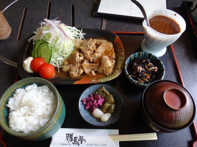 箱根周辺まで行った時は、必ず寄るお店です。<br />ここのお店は本当の意味での箱根らしいものが出てきます。<br />