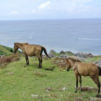 2013年 沖縄離島の旅（与那国編）