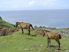 2013年 沖縄離島の旅（与那国編）