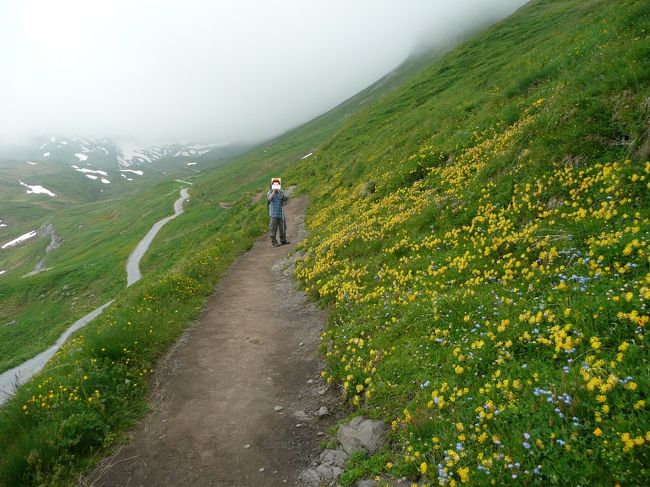 この旅行記は、2013年7月11日～7月25日、パリ3泊、スイス8泊、ミラノ2泊の13泊15日の旅行のスイス編です。<br /><br />スイスに入って四日目です。<br /><br /><br />グリンデルワルトからゴンドラで気軽に行けるコースの下記のハイキングを楽しみます。<br />＊フィルスト→バッハアルプゼー<br /><br />（往復2時間で約6kmの初心者コース）