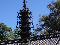 宝山寺を母と歩く☆階段だらけのお寺は、靴に要注意(>_<)