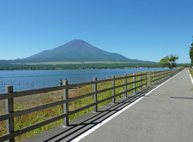 台風が去って、晴天が続き始めたので<br />富士山＆山中湖の周辺を<br />日帰り弾丸ドライブしてきました。