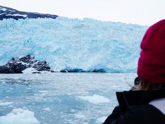 アラスカ・巨大氷河と野生動物サファリ (Massive glaciers and arctic wild animals)