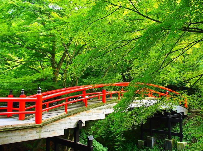 (思いがけず)秋近づく上州・伊香保温泉&周辺を巡る旅。<br /><br />〔ある憂鬱な月曜日のやりとり〕<br />上司A「あー、こんど○○○の件で、ちょっと東京の本社まで出張行ってきてくれるかねー」<br />私「○○○の件の担当はBさんとCさんで、私ノータッチですけど…」<br />上司A「いや~Bさんがちょっとお疲れでねー。まーなんとかなるさー。あ、出張は今週木・金だから」<br />私「………(こっちもお疲れなんですけど)」<br /><br />7月から沖縄に転勤してみて思うことの1つが、県内に有名な温泉が無いということ。<br />それならば、この機会を有効活用?し、東京からも比較的近くて、以前から行ってみたいと思っていた「伊香保温泉」を訪れてみることに♪<br /><br />深緑に包まれた朱色が美しい「河鹿橋」を眺めるとともに、「石段街」を中心とした伊香保温泉街をそぞろ歩きし、もちろんゆっくり温泉にも浸かって、日頃のストレスがちょっとだけ?解消された1日でした。<br /><br />【旅の行程】<br />・東京駅 ~ 高崎駅 ~ 渋川駅 ~ 伊香保温泉(伊香保ロープウェイ(上ノ山公園)~ 伊香保神社 ~ 河鹿橋 ~ 伊香保温泉飲泉所 ~ 伊香保露天風呂/源泉湧出口観覧所 ~ 石段街 ~(泊))<br /><br />【(思いがけず)秋近づく上州・伊香保を巡る旅】<br />・旅行記その2~上州の山懐に抱かれた五徳山水澤寺と榛名神社に詣でる~<br /> http://4travel.jp/traveler/akaitsubasa/album/10816822/<br /><br /><br />【温泉街そぞろ歩き】<br />・雲翳の妙高山と赤倉温泉街そぞろ歩き(新潟県妙高市)<br /> http://4travel.jp/traveler/akaitsubasa/album/10706639/ <br />・渓谷美に恵まれた地・水上温泉そぞろ歩き(群馬県利根郡みなかみ町)<br /> http://4travel.jp/traveler/akaitsubasa/album/10695302/ <br />・日本三名泉のひとつ・草津温泉そぞろ歩き(群馬県吾妻郡草津町)<br /> http://4travel.jp/traveler/akaitsubasa/album/10761681/<br />・ダムに沈みゆく幻の温泉街・川原湯温泉そぞろ歩き(群馬県吾妻郡長野原町)<br /> http://4travel.jp/traveler/akaitsubasa/album/10763120/<br />・修善寺温泉そぞろ歩き(静岡県伊豆市)<br /> http://4travel.jp/traveler/akaitsubasa/album/10604700/