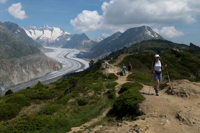 18日目　7月15日<br />相棒は昨日の長丁場の疲れから、今日は休むとのこと<br />なので、一人で歩いてｱﾚｯﾁ氷河を見に行きました。<br />ｺｰｽはﾌﾞﾗｳｾﾞｰを経由して尾根上に上がり、尾根上を<br />ﾎｯﾎﾌﾙまで歩きﾎﾃﾙへ戻りました。<br />歩いた距離：8.5km　総上昇量：370m<br />
