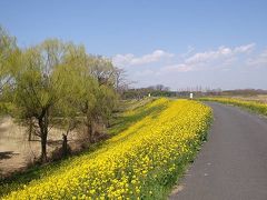 荒川サイクリングコース①旧熊谷陸軍飛行学校桶川分教場跡や榎本牧場他