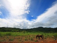 感動の星空を体感、波照間島・西表島へ　(３・４日目西表島～マングローブと海、石垣島～) 