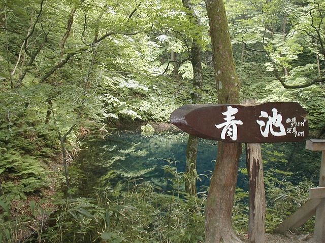 「旅の記録」（20）・・・男鹿半島・津軽半島・下北半島<br /><br />秋田県男鹿半島を起点に青森県五所川原から出迎えにきた観光バスで白神山地・十二湖や大戸瀬崎・千畳敷を訪れました。<br /><br />色んなところ歩きましたが　ここでは何しろ「青池」です。<br />神秘的な青い色　透き通った湖底　湖面は鏡の如く・・・。<br />鏡の如くというよりも　液体の鏡そのものですね。<br />ただ呆然と　見とれます。こんな池　いまだかつて観たことがないのです。　<br /><br /><br />注）各写真のコメントのうち各地の詳細情報については 「 Wikipedia 」 などから転載・加筆したものです。