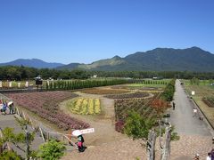 山中湖　花の都公園