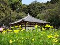 ３連休中日は、家族で行く安倍文殊院☆コスモス迷路で子どもにかえる(*^_^*)