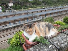 台湾鉄路、「鐡」と「猫」の旅