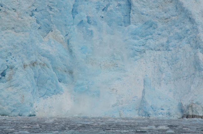 2013.8.8<br />SewardからKenai Fjords National Park Cruiseで氷河訪問。