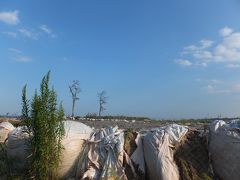 2013　東北へ①　～被災地に住むおばあちゃん家　編～