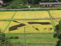 2013年  但東町の田んぼアート