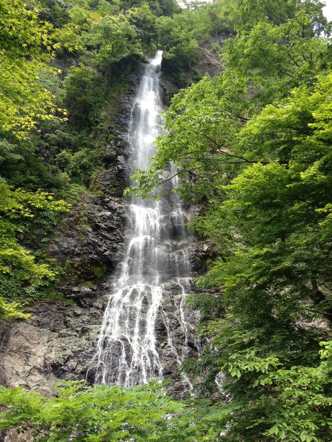 日本100選に選定されている天滝。<br />地元の山に先月プチ山登り＋プチ滝フェチに昨年になり、山と滝なら天滝！<br />近いのにまだ行った事がなく、姉ファミリーと母で訪れました。