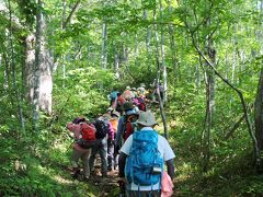 白山の前衛の山　　銚子ヶ峰 (1,810.4ｍ)　