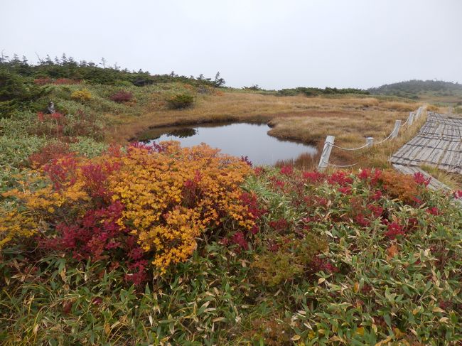 浅間山登山の次の日は苗場山（２１４５ｍ）へ日帰り登山。（祓川コース）<br /><br />苗場山の山名は、この山頂湿原にきらめく池塘（ちとう）が、田んぼにたとえられたことに由来すると。<br /><br />９月は比較的近場の上信越方面の登山が多くて。天気も安定していました。<br />浅間山の帰りに渋川ＩＣ近くのビジネスホテルで前泊しました。<br /><br />≪ルート≫関越道：渋川ＩＣ→湯沢ＩＣ→国道１７号・林道→かぐらみつまたスキー場第二リフト駐車場→和田小屋<br /><br />≪天候≫晴れ<br />≪写真≫草紅葉していた苗場山山頂湿原<br /><br />標高（約８００ｍ）のわりに登り応えのある山で、変化に富んでいて飽きない山行でした。<br />また山頂湿原の広大さに感動！<br />美しい山頂は雲上の別世界～散策しまくり♪<br />今度は花の季節（７月頃）にまた登りたいです～♪