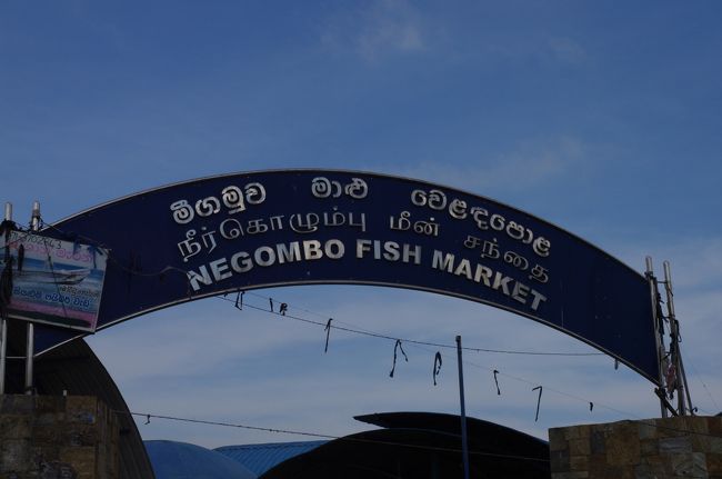 2012/10/27(第9日目)<br /><br />ニゴンボ2日目<br />一日中ニゴンボでぶらぶら散歩。<br />フィッシュマーケット、海岸を見て回りました。<br />