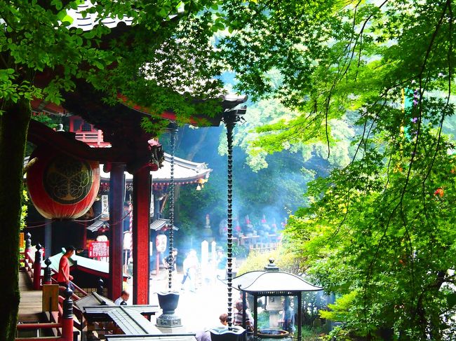 (思いがけず)秋近づく上州・伊香保温泉&周辺を巡る旅。<br /><br />旅の2日目は、レンタカーで伊香保温泉の周りにあるスポットをいくつか巡ってみることに♪<br /><br />まずは「五徳山水澤寺」にお参りするとともに水澤うどんを食べ、伊香保温泉にちょっと戻りつつ、最後は「榛名神社」まで行くという、比較的王道ルートになりました。<br /><br />上州の山懐に抱かれた社寺は、どちらも美しい深緑の中に豪壮華麗な伽藍が今も残っていて、境内を歩いていて飽きることがありませんし、またまた伊香保の温泉にも入ってしまい、思いがけず伊香保まで訪れた旅でしたが、その温泉情緒と歴史とを楽しむことができました☆<br /><br />【旅の行程】<br />・伊香保温泉 ~ 五徳山水澤寺 ~ 水澤うどん(大澤屋) ~ 伊香保温泉(徳冨蘆花記念文学館 ~ 伊香保温泉 石段の湯) ~ 榛名湖 ~ 榛名神社 ~ 高崎駅 ~ 東京駅<br /><br />【(思いがけず)秋近づく上州・伊香保を巡る旅】<br />・旅行記その1~深緑に包まれた河鹿橋と上州の名湯・伊香保温泉そぞろ歩き~<br /> http://4travel.jp/traveler/akaitsubasa/album/10814353/