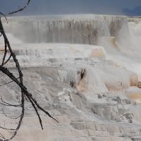 バンクーバーからイエローストーンまで、４３００ｋｍのドライブ旅行　⑥イエローストーン（Ｍａｍｍｏｔｈ　Ｈｏｔ　Ｓｐｒｉｎｇｓ）