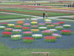 滝上町の芝桜＆上湧別町のチューリップ