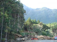 鹿児島県＝屋久島安房から徒歩でいざ屋久杉自然館へ