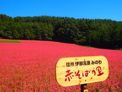 信州☆赤そばの里・そばまつり☆満開の花。o○