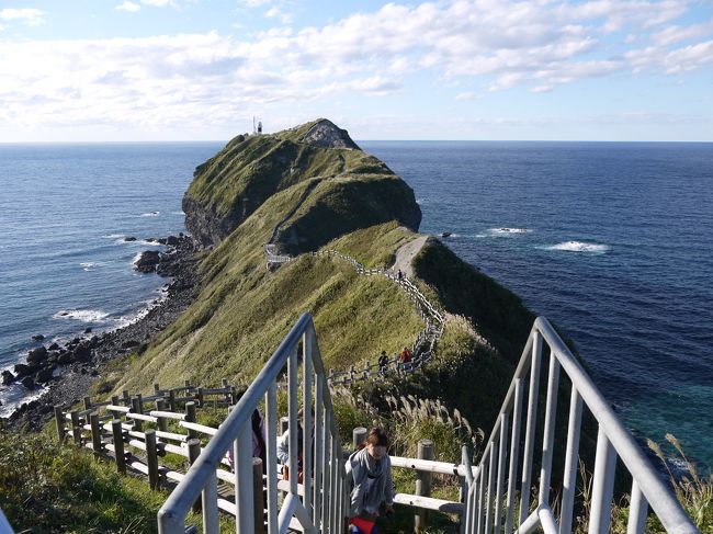 LCCを利用した3泊4日の夫婦の旅。<br /><br />新千歳空港でレンタカーを借りて、積丹半島に高速を利用して向かいました。<br />お目当ては積丹ブルーを見ることです！<br /><br /><br />〈スケジュール〉<br />１日目　新千歳空港→積丹半島→小樽　243㎞走行<br />２日目　旭山動物園→上野ファーム→美瑛→富良野　306㎞走行<br />３日目　雲海テラス→帯広でガーデン＆駅巡り→富良野　361㎞走行<br />４日目　富良野→新千歳空港　233㎞走行<br /><br />〈3泊4日　１人分の費用〉<br />飛行機往復17880円＋レンタカー6300円＋宿泊7825円＋チケット4400円＋燃料＆高速代5215円＝41620円<br />※飲食代、お土産代は含んでません。