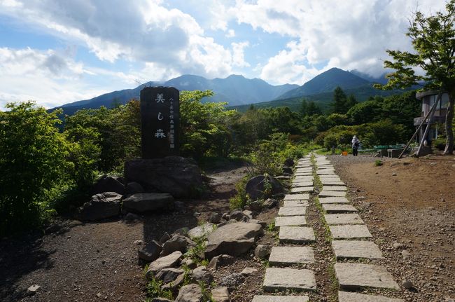 清里高原に犬二匹を連れて行きました。美し森や吐竜の滝をハイキングし、ワンワンパラダイス八ヶ岳に宿泊。都会の猛暑をよそに、リラックスできました。