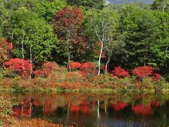 志賀高原の紅葉＆妙高高原からの絶景を楽しむ秋旅　（１）　【 紅葉が始まった志賀高原で緑色の温泉に浸かる 】