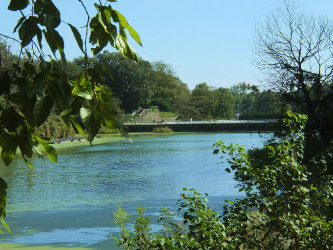 すくない時間の楽しいカメラ散歩でした。<br /><br />国営武蔵丘陵森林公園<br />http://www.shinrin-koen.go.jp/<br /><br />義臣旅記<br />２０１１　武蔵丘陵森林公園　梅花　福寿草<br />http://4travel.jp/traveler/jiiji/album/10543891/