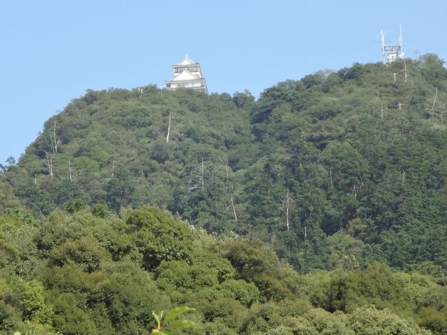 斉藤道三の稲葉山城、織田信長が岐阜城と改めた城です。すごい。