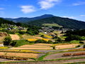 坂折棚田（恵那市）　2013　