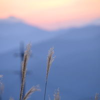 地ビール飲み放題、温泉でまったりの翌日は、妙高山登山と趣きある小布施の街歩き