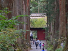 遠くても一度は詣で善光寺、天岩戸伝説の戸隠神社を歩く