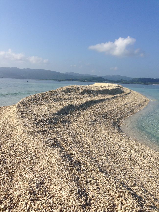 去年の石垣島旅行で八重山諸島にはまりました！<br />前回は石垣島と竹富島だけだったので、他の島にも行きたいと、春くらいから計画を立て始めまた。<br /><br />9月に沖縄方面へ行くのは一種のかけ。。。<br />台風がくる確率が高く、その時は飛行機が飛ばないかも。。。。など、どうしようかと散々迷いましたが、色んな諸事情で、9月の終わりに決めました。<br /><br />今回行きたいと思ったのは、西表島と小浜島。<br />西表島はジャングルと西表山猫というイメージしかなかったのですが、山や海といろいろ楽しめる、とても素敵な島だということがわかりました。<br /><br />小浜島では、とりあえずのんびりしようと思い、ホテルにこだわりました。<br /><br />この旅行期は、前半の西表島で過ごした内容です。<br /><br />