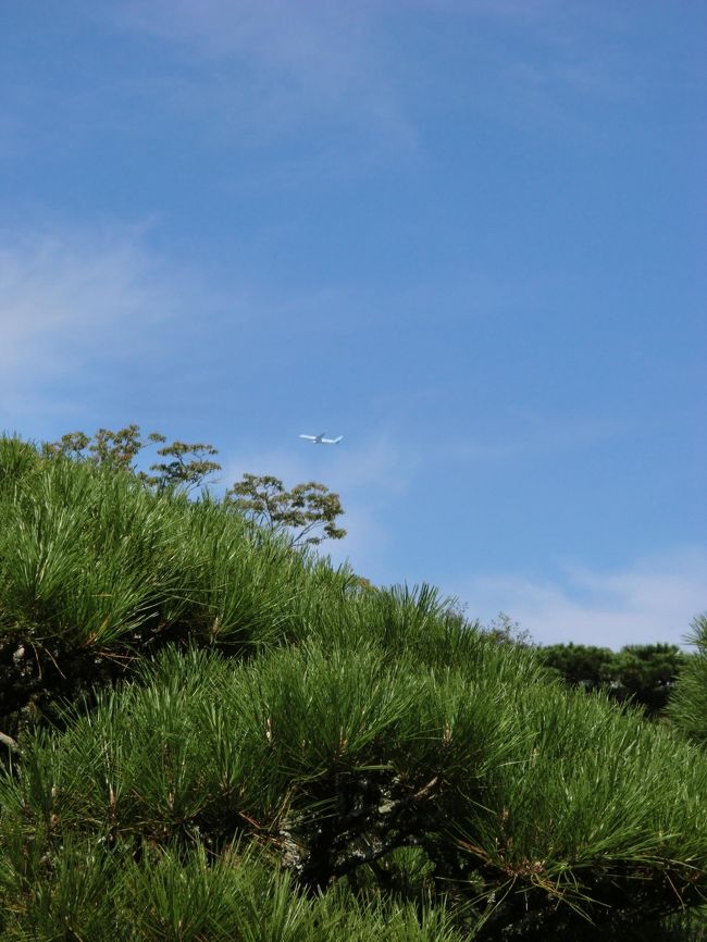 急遽決まった今回の旅行。前回バングラデシュは羽田発だったので浅草・浅草寺に寄ってみましたが今回は成田出発なのでバックパックを背負って成田山新勝寺に寄ってみました。<br /><br />