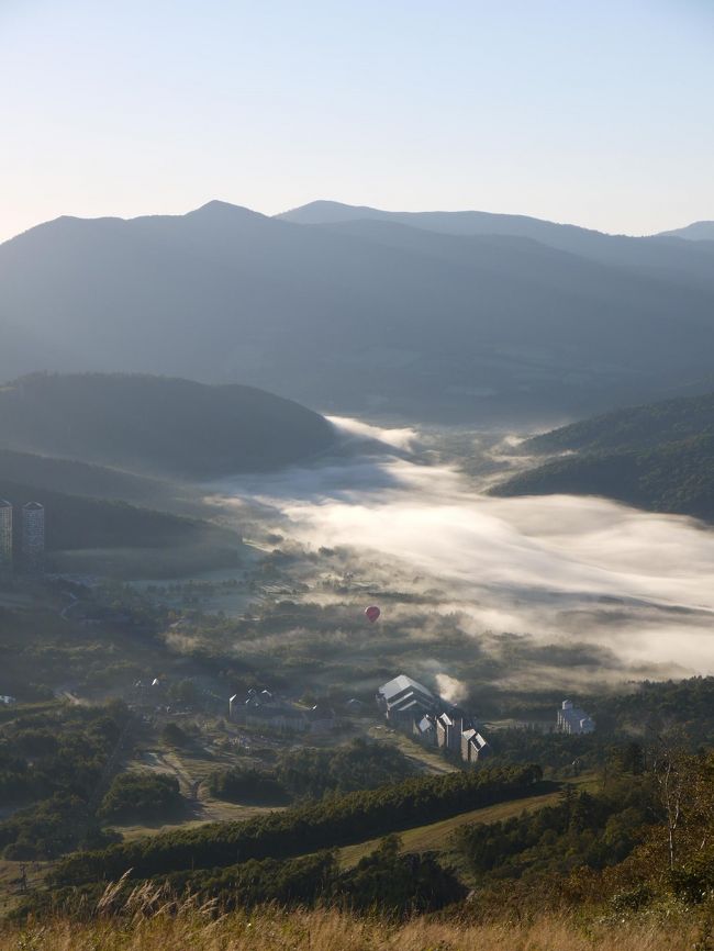 北海道に行こうと思ったきっかけが、雲海テラスからみた雲海が凄いと口コミで聞いたからです。<br /><br />早起きして、念願の雲海テラスに行きました。<br /><br />でも、やっぱりそう簡単に雲海は見れませんでした。<br /><br /><br />〈スケジュール〉<br />１日目　新千歳空港→積丹半島→小樽　243㎞走行<br />２日目　旭山動物園→上野ファーム→美瑛→富良野　306㎞走行<br />３日目　雲海テラス→帯広でガーデン＆駅巡り→富良野　361㎞走行<br />４日目　富良野→新千歳空港　233㎞走行<br /><br />〈3泊4日　１人分の費用〉<br />飛行機往復17880円＋レンタカー6300円＋宿泊7825円＋チケット4400円＋燃料＆高速代5215円＝41620円<br />※飲食代、お土産代は含んでません。