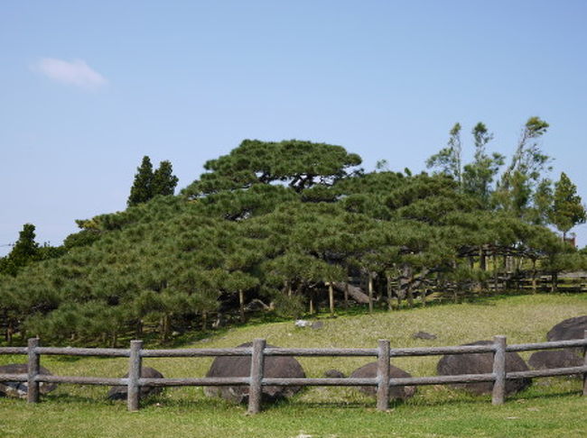 2013年は最初の遠出は久米島へ。<br /><br />レンタカーを借りて島内あちこちお出掛け。<br />2日目に周った、島内観光の様子を色々詰め込みました。<br />(写真が多いので前後編に分けています、こちらは前編出発〜お昼までの風景達です)