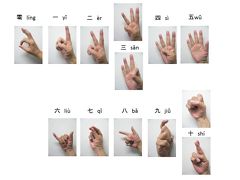 中国旅行必須　数の指表現