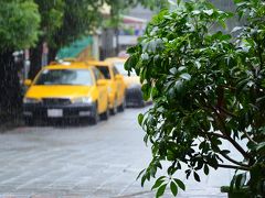 記憶に残る大雨 ・ 台南の旅 2013 - 1