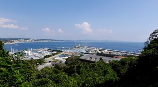 2013.9鎌倉・江の島バス旅行2-江の島　丸だい仙水で昼食