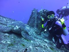 オアフ島ダイビング　ノースとワイキキ沖沈潜ダイビング