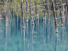 日本一早い紅葉を訪ねて北海道周遊フリーの旅　青い池・美瑛・十勝岳編　（４−２）