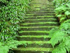 あじさいの鎌倉2 苔寺 妙法寺と妙本寺