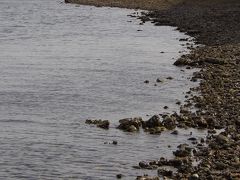 静岡・奥浜名湖の猪鼻湖★憧れの湖畔散策♪