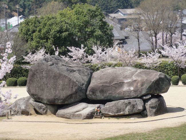 「石舞台古墳」に行ってきました。<br />埋葬者としては「蘇我馬子」が有力視されています。<br />「満開の桜」に魅了されました。<br />