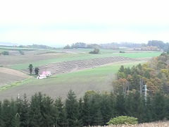 特典航空券で北海道～レンタカーで巡りました 2