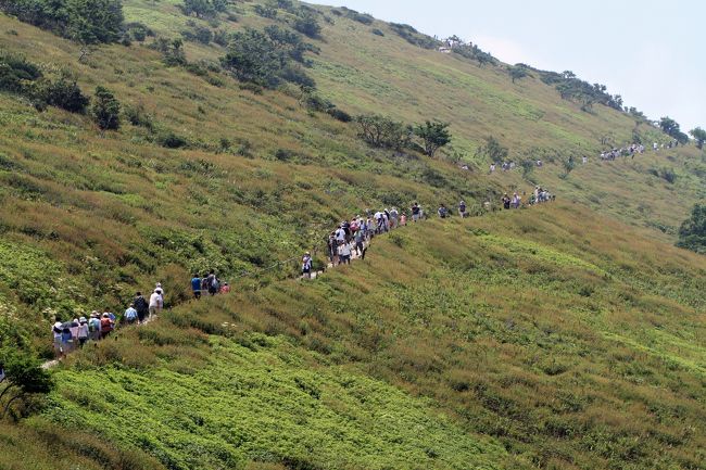 伊吹山<br />涼を求めて伊吹山へ。<br />山上も暑かったですが、時折吹く風は心地よかった。